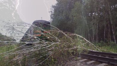 Поваленное дерево на путях перед поездом в грозу