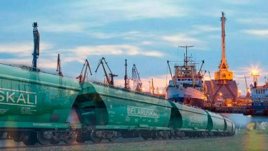 Вагоны-хопперы Belaruskali на фоне морского порта с кранами
