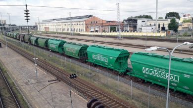Зелёные вагоны-хопперы с надписью Belaruskali на путях станции